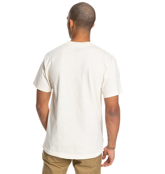 DC Shoes T-Shirt ARCHED TEE Weiß