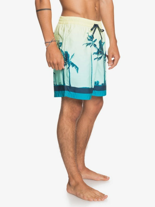 Quiksilver Men's Boardshorts Paradise Volley 17 (Charlock)