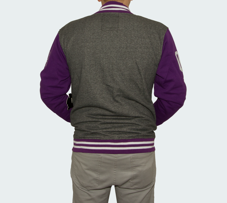 Sweatshirt Jacke DGK Scholar Snap Up Mehrfarbig