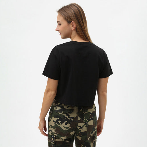 Dickies T-Shirt Ellenwood Schwarz