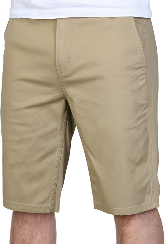 Element Men's Shorts HOWLAND WK (Desert Khaki) 