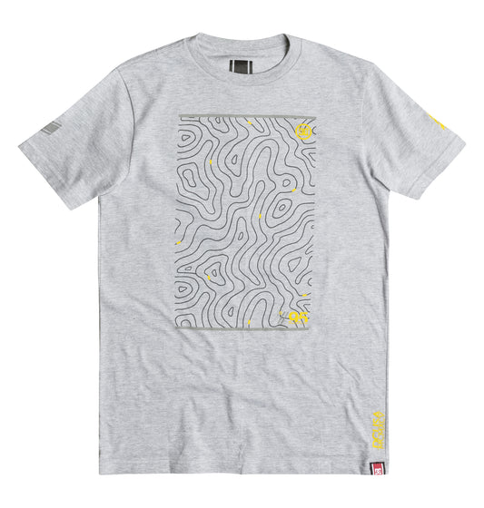 DC Shoes T-Shirt RD ABOVE GROUND Grau