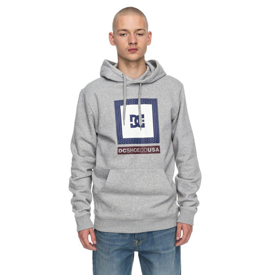 DC Shoes Hoodie ATTITUDE PH Grau