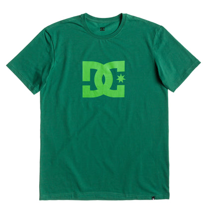 DC Shoes T-Shirt STAR Grün
