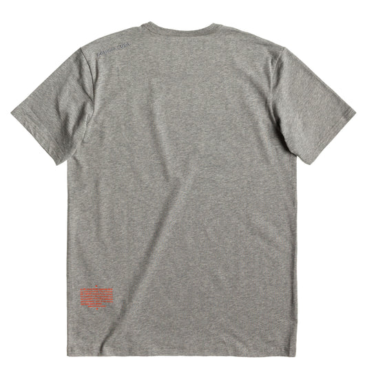 DC Shoes T-Shirt STAR Grau