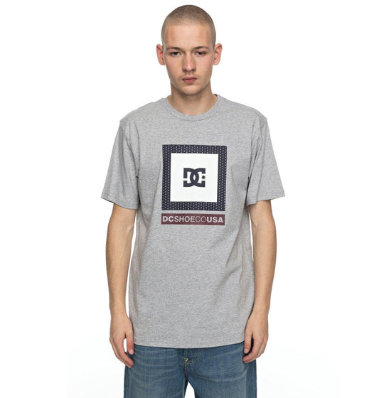 DC Shoes T-Shirt ATTITUDE SS Grau