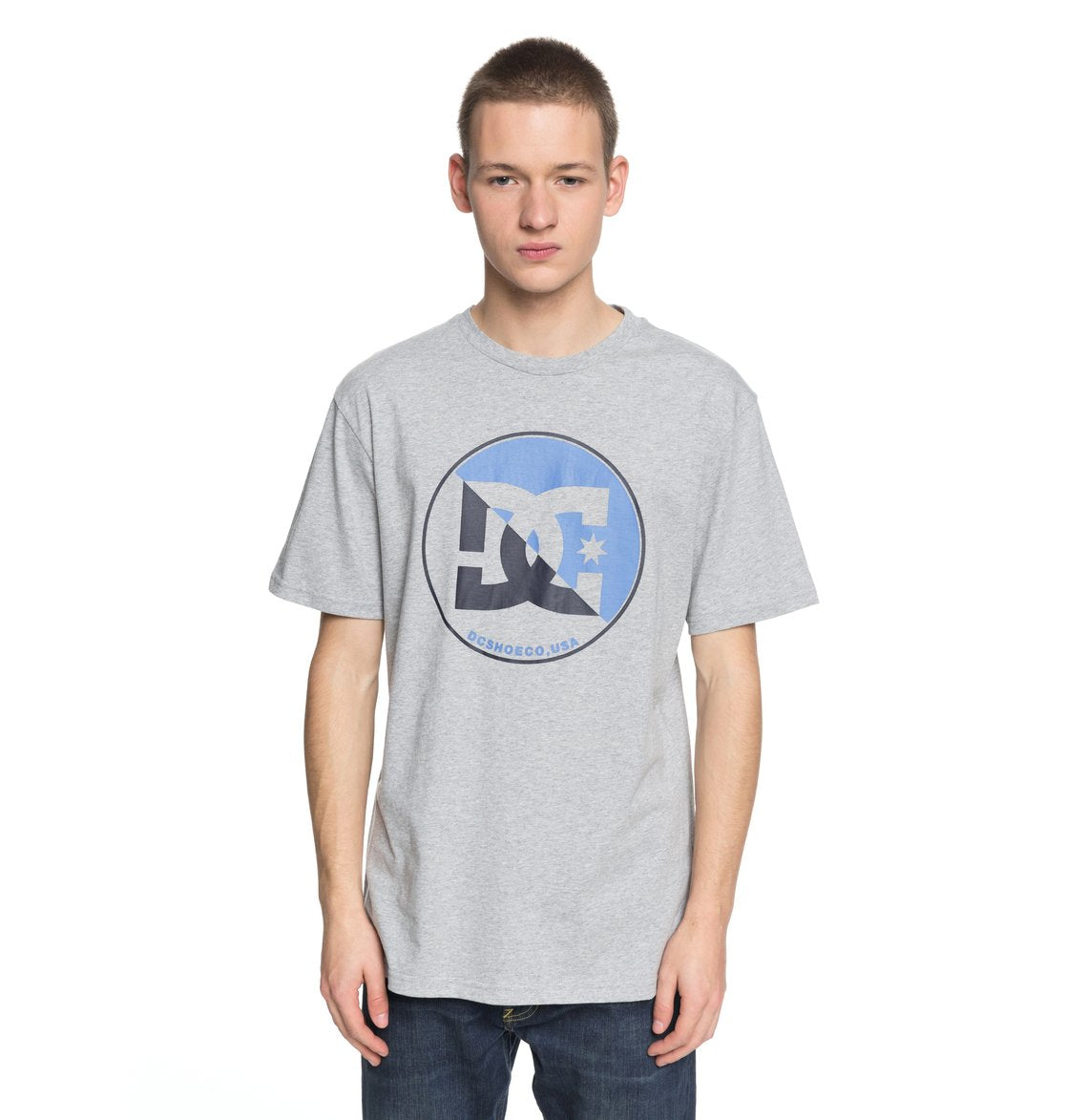 DC Shoes T-Shirt Up Shore Grau