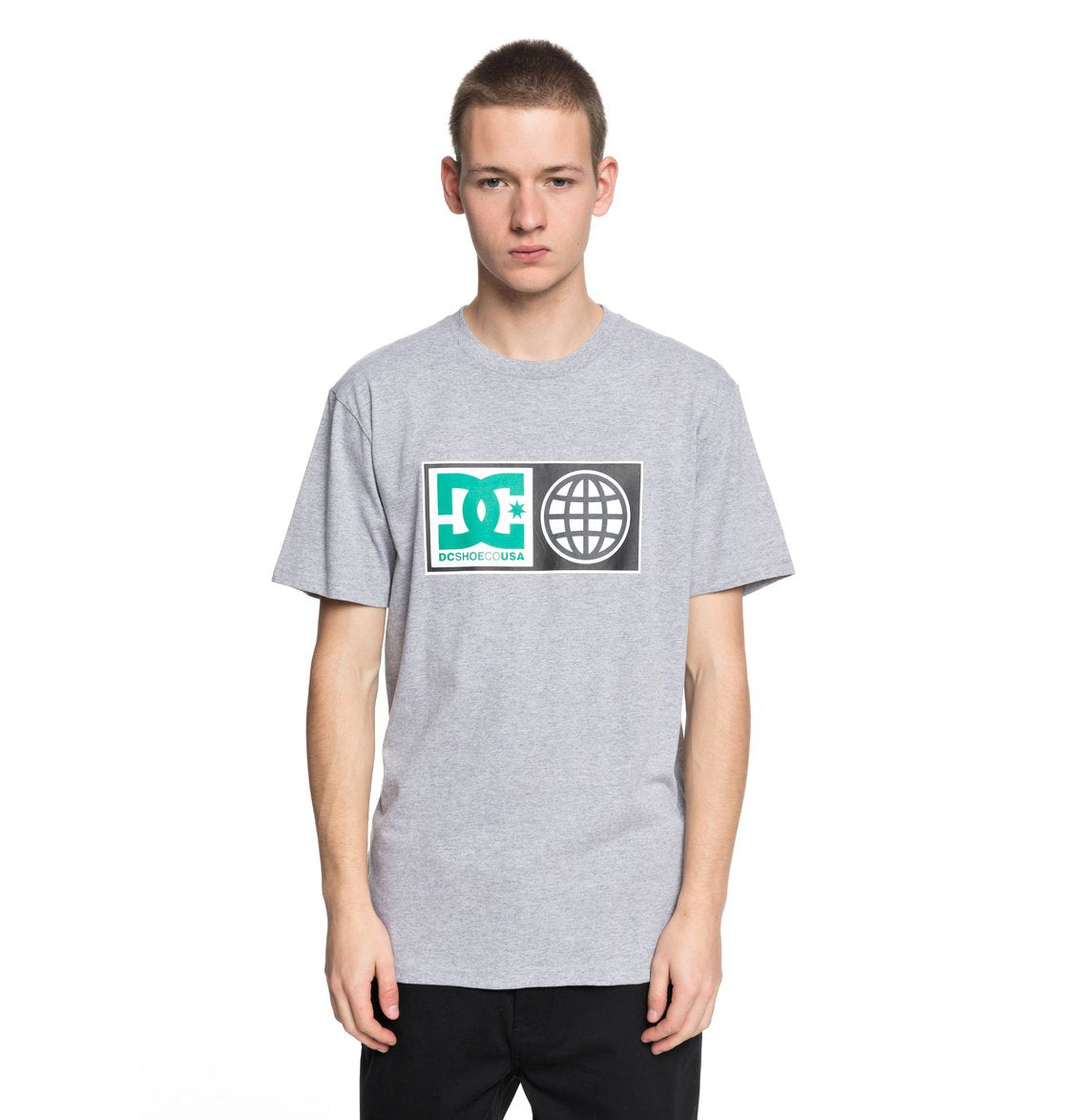 DC Shoes T-Shirt Global Salute Grau