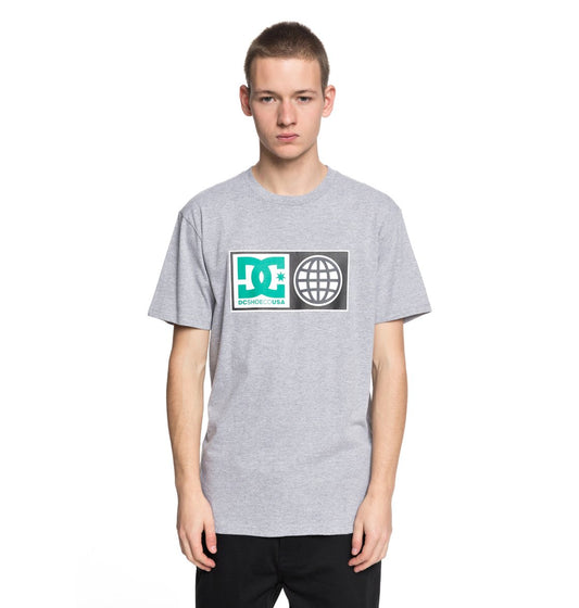 DC Shoes T-Shirt Global Salute Grau