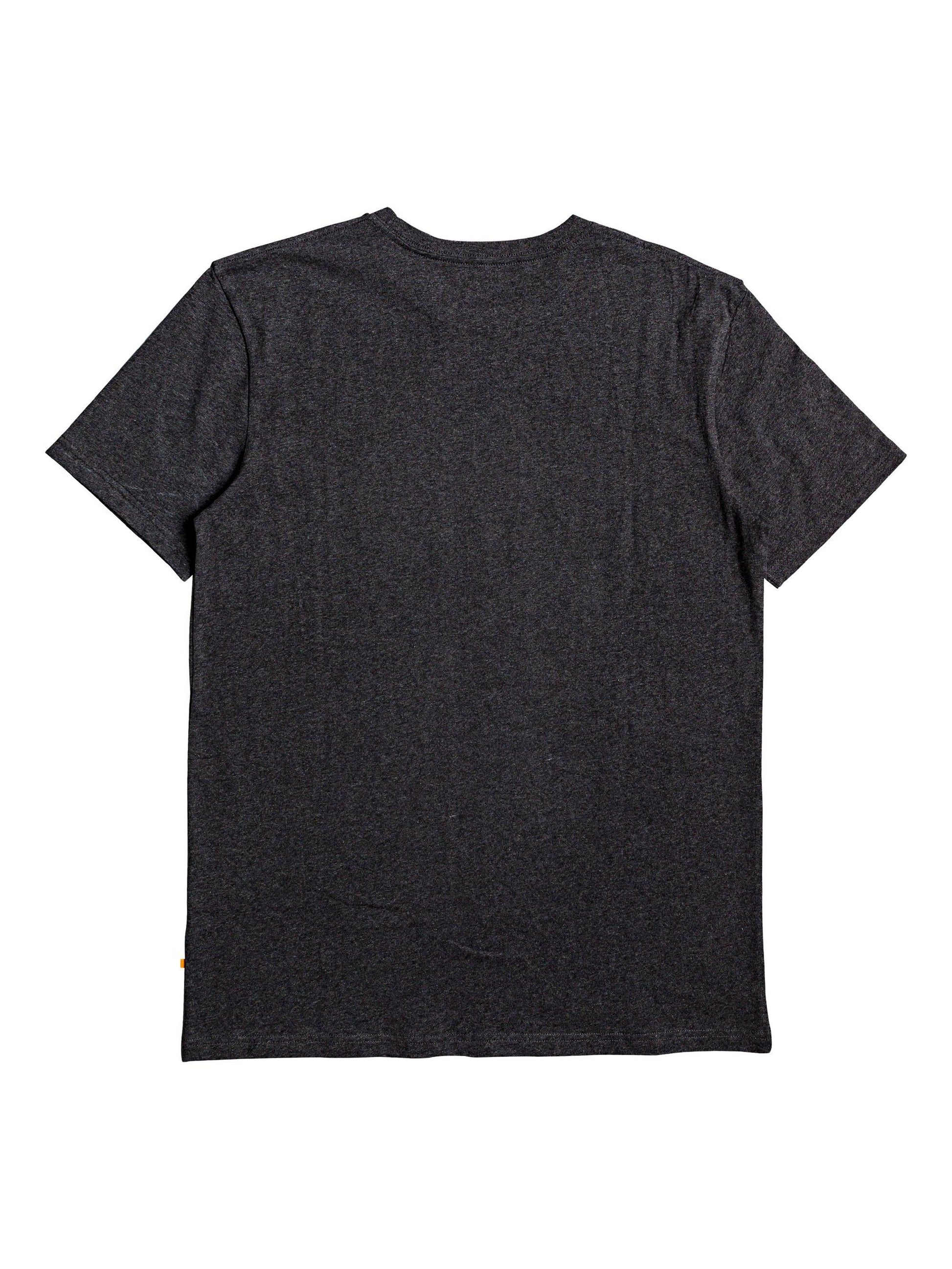 Quiksilver T-Shirt BREAKFAST SETS Grau