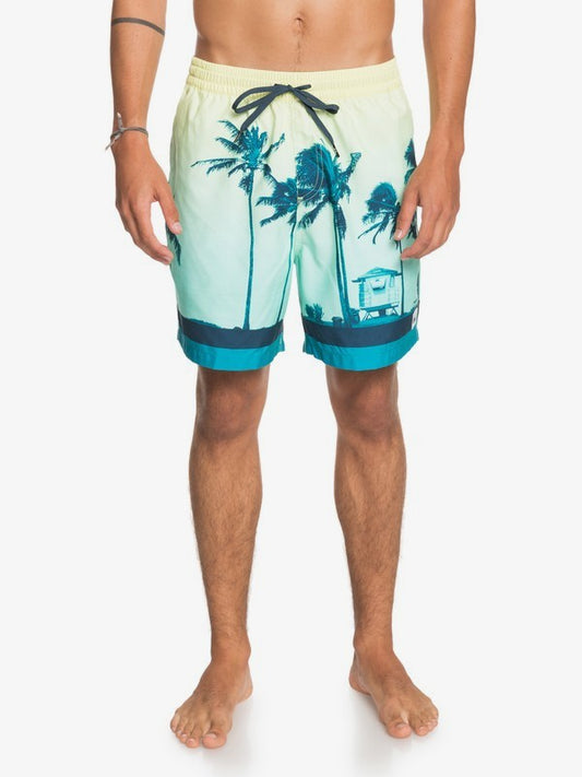 Quiksilver Men's Boardshorts Paradise Volley 17 (Charlock) 