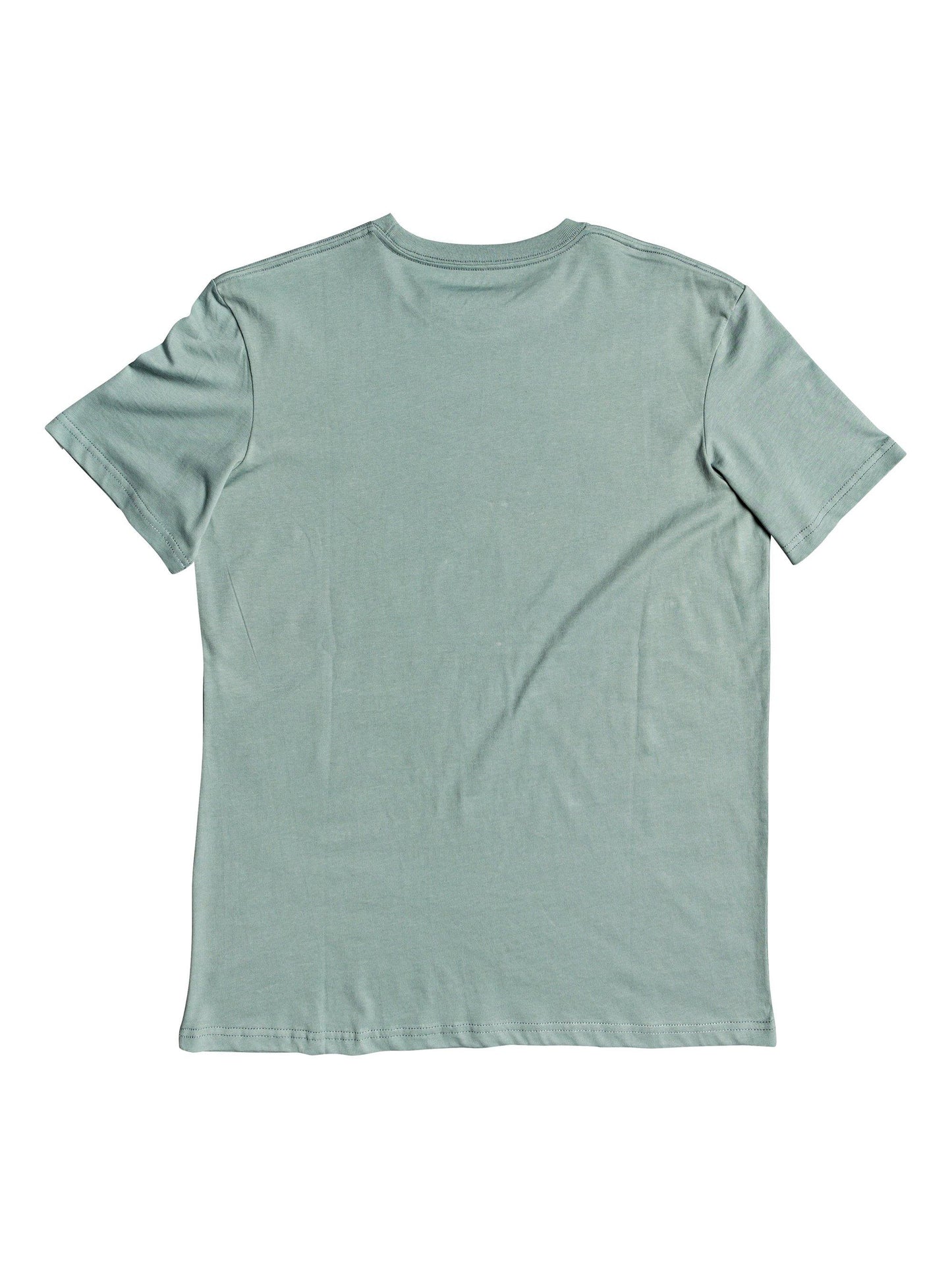 Quiksilver T-Shirt Words Remain Grün