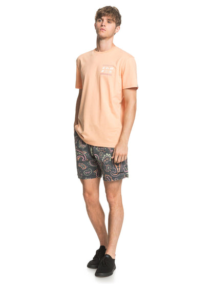 Quiksilver T-Shirt Slow Burn Orange