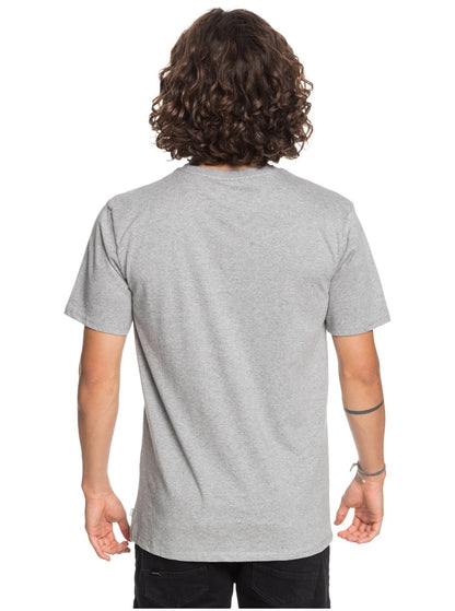 Quiksilver T-Shirt Summers End Grau